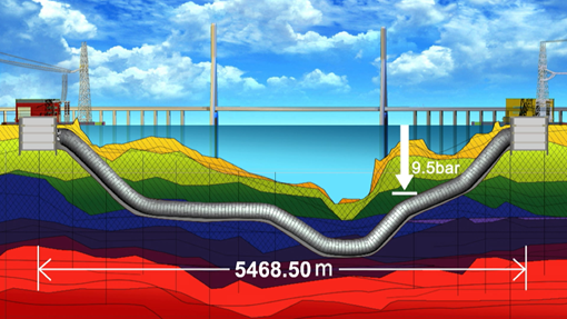 welcome-���ֲ�