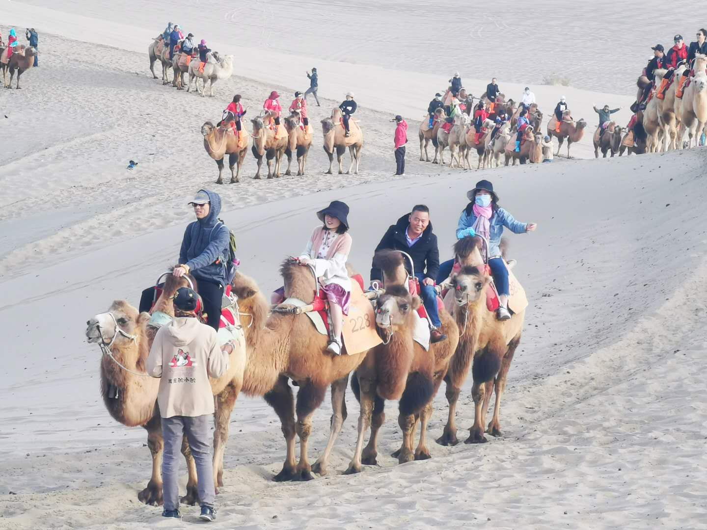 welcome-���ֲ�