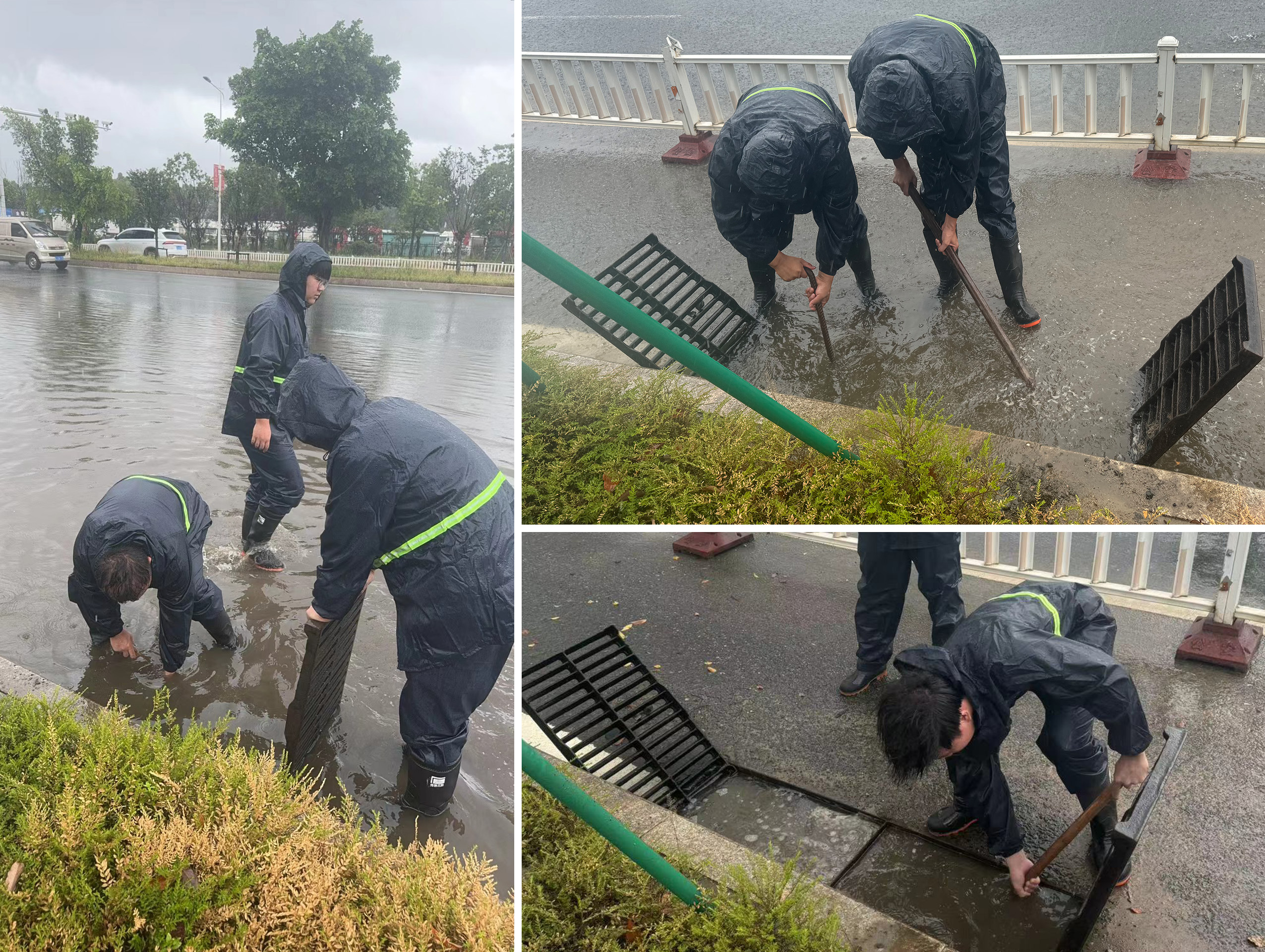 welcome-���ֲ�