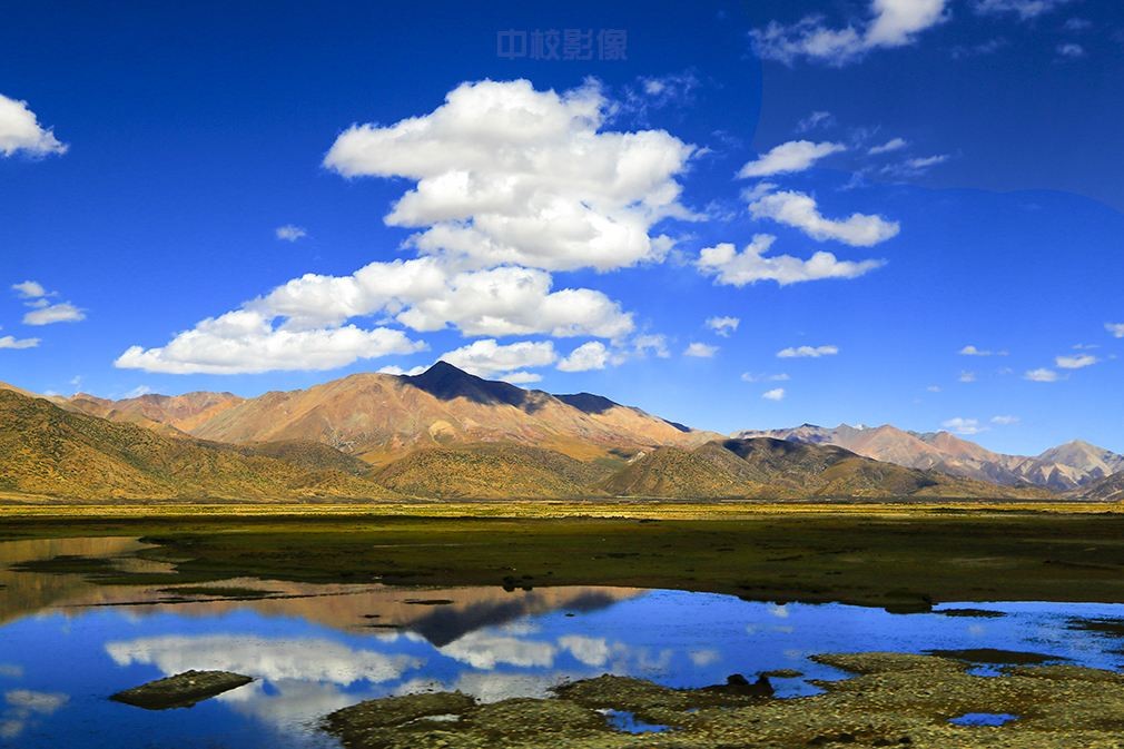 welcome-���ֲ�